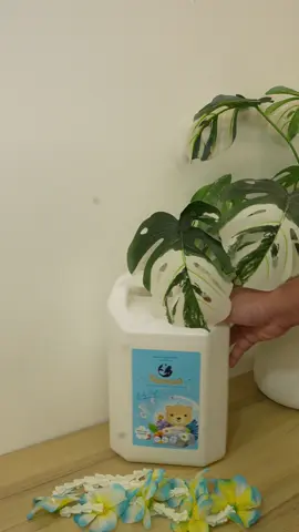 ใหม่! [ 9ลิตร ] SEA MERMAID น้ำยาซักผ้าซีเมอร์เมด #ซีเมอร์เมดกลิ่นเบบี้ซอฟท์ #หอมติดทนนาน #seamermaid #สูตรซักสะอาด 