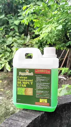 Rekomendasi cairan pembasmi rumput liar sampai ke akar