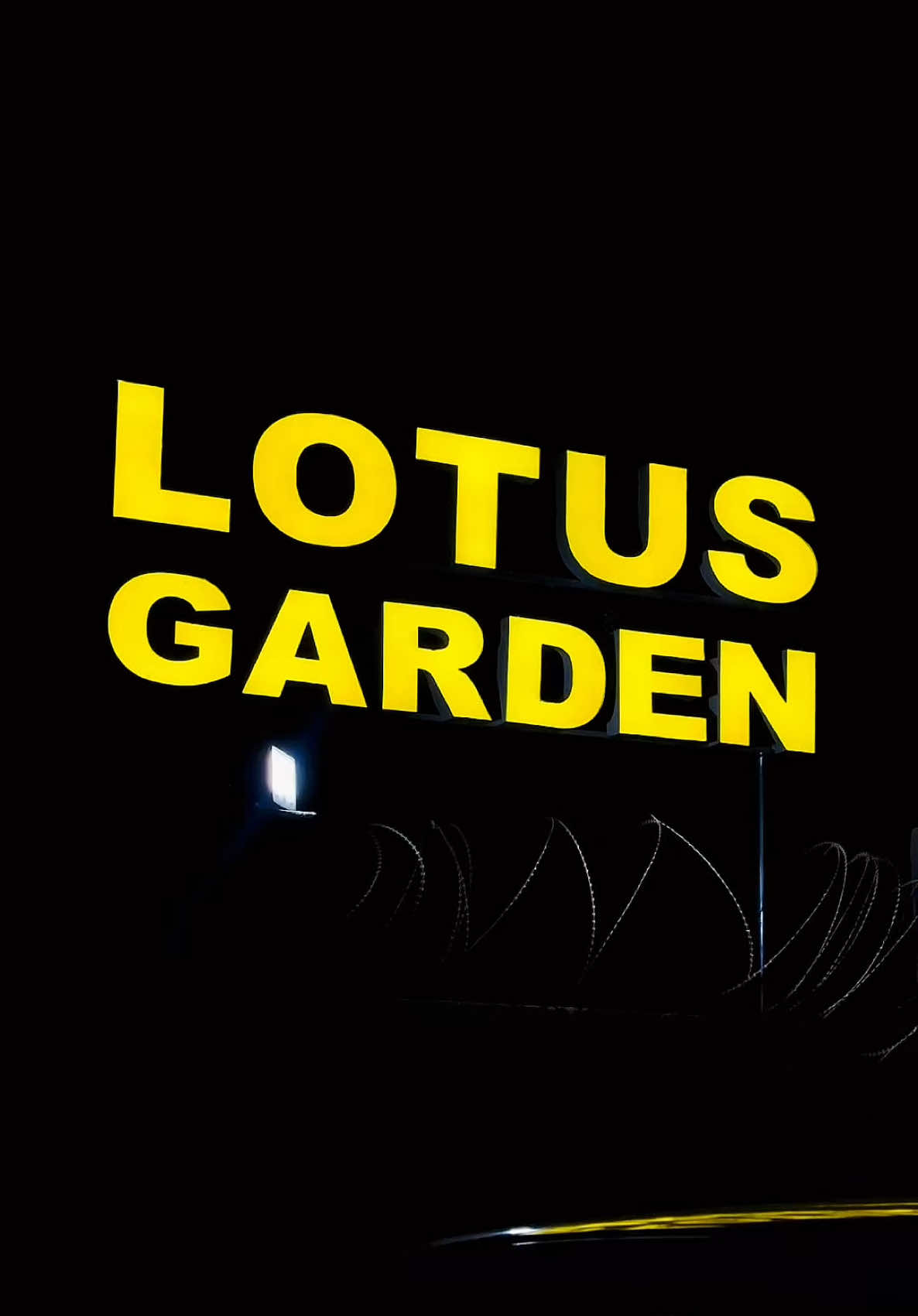 Cidlada sidee isku tihiin?                                        #lotusgarden #hargeisa #somaliland #shalka4k #videography #fyp #Viralll 