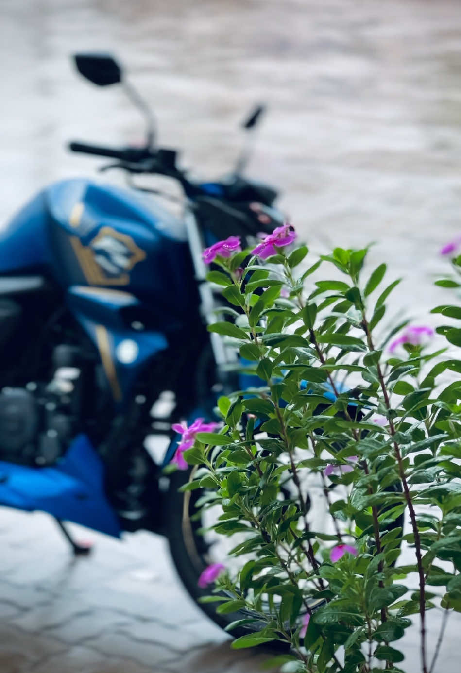 #foryou #natural #biker #bdtiktokofficial #photography #v2 #fzsv2 #fyp #bdbikelover #viralvideo #bikers #trip 