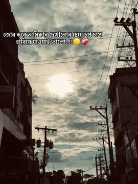 জোর করে অধিকার দেখানোর চেয়ে চুপ চাপ হারিয়ে যাওয়াই ভালো..!!🙂❤️‍🩹 + #fyp #foryou @🤍✨𝐒O҉J͟|𝖡 👑.🇱🇷  