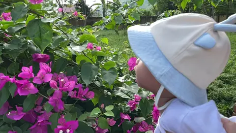 Cho con 🐝 đi hút mật mà hình như k thích hoa cho lắm 👀🤣#trendingvideo #tiktokviral #xuhuong #embe #viralvideo #cute #tiktok 
