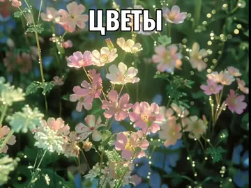 Егор, NeSergey - Цветы #эстетика #aesthetic #song #песня 
