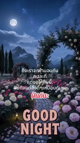 ค่ำคืนนี้ฝันดีนะ....