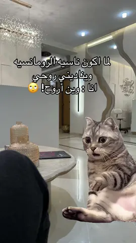 #Meme #MemeCut #😂😂😂 #🤣🤣🤣 #🤦‍♀️ 