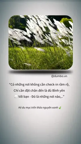 Có những nơi không cần check-in rầm rộ, Chỉ cần đặt chân đến là đủ Bình Yên 🍃 💬 Với bạn - Đó là những nơi nào,.. #dumbo #kedumuc #tiktokvideo #tiktokvibes #trending #caption #binhyen #nhacchill #dulich #checkin 