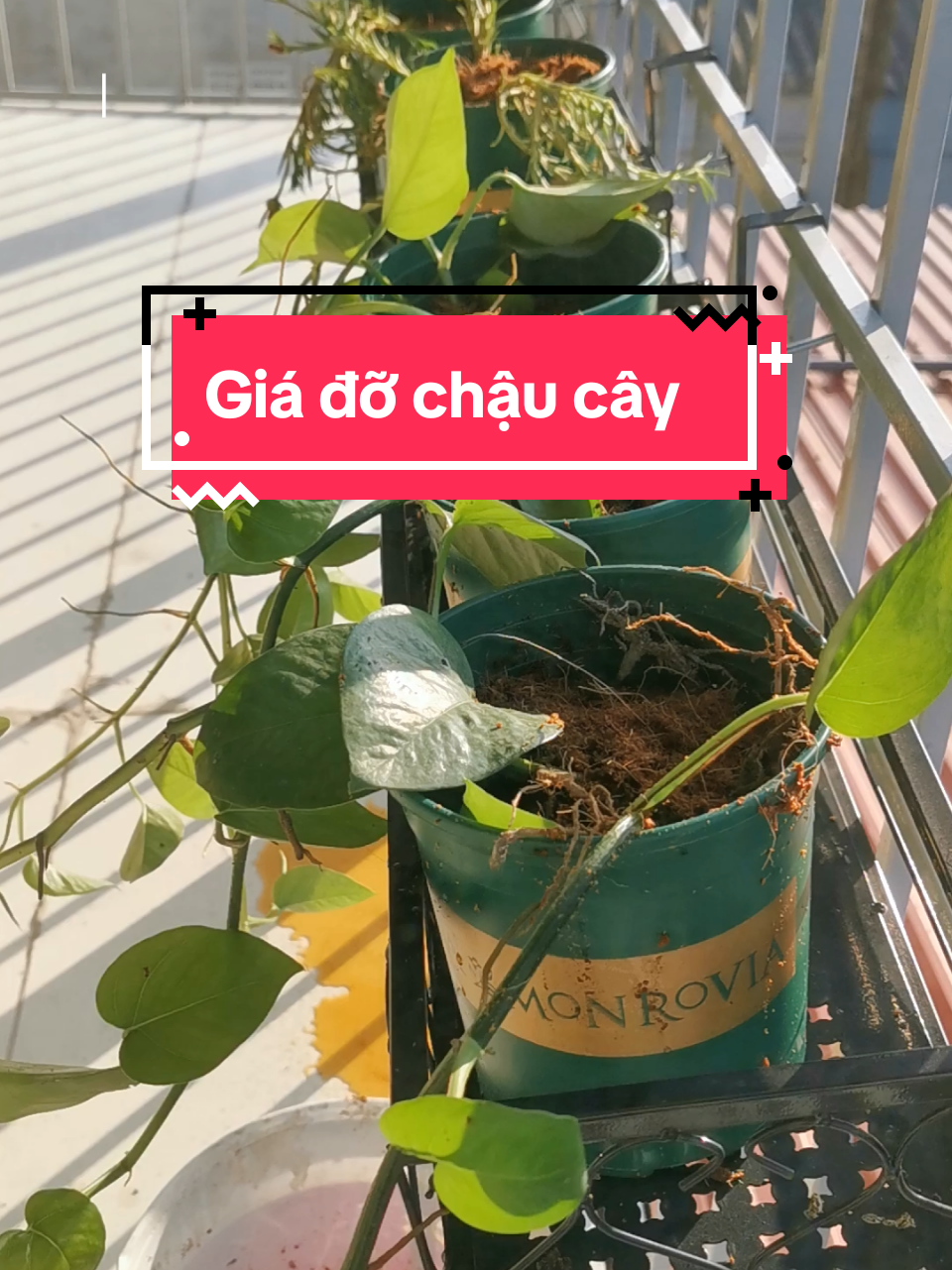 Giá đỡ chậu cây gài ban công#chaunhua #gia #giado #giadochau #giagaibancong #giadochauhoa #giado #gio #giotreobancong 