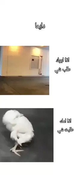 🤣#JK #بتس_الملوك_السبعه #CapCut #عصر_فكتوري #CapCutحبيت #ارميز_للأبد 