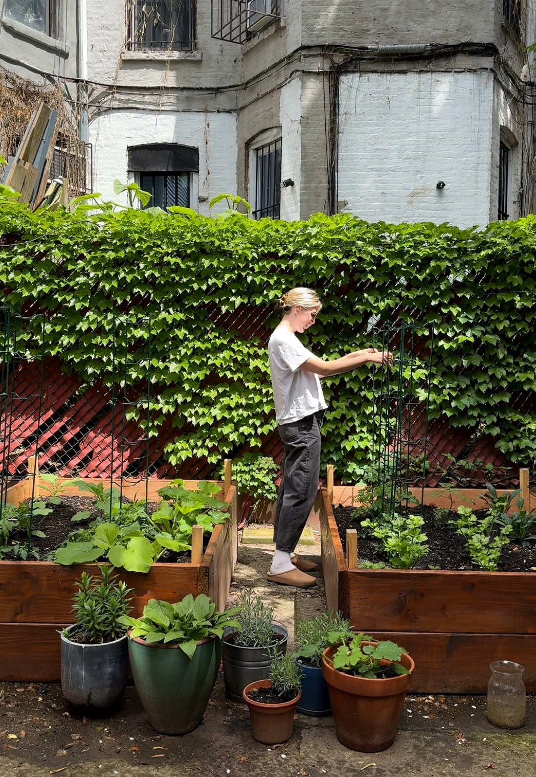 I love it so so much 🥹 blog post is up!! #gardenbeds 