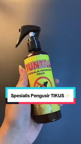 Rekomendasi ampuh mengusir tikus dengan cara praktis nih, tuntas pakai spesialis pengusir tikus ✨ #pengusirtikus #pengusirtikusampuh #spraypengusirtikus #pembasmitikus 