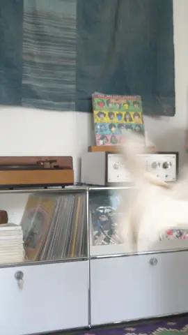 It's summer all year long in Jakarta 🌞 #menswear #OOTD #grwm #styletips #militarystyle #mensfashion #amekaji #japanesefashion 