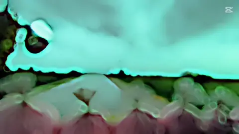 ရွာစမ်း မိုး နင်ပဲရွာနိုင်မလား ငါပဲ feelနိုင်မလား🤭🤭@Si GYi(TDG)အညတရကားဆရာလေး @Nay Nil Aung238 @bonaytoe82 @Lpp ပေါက်တူး (Let Pan Pin) @Z.N.Htet❤🚛❤(1.7M) @MOE TOUT TUN 