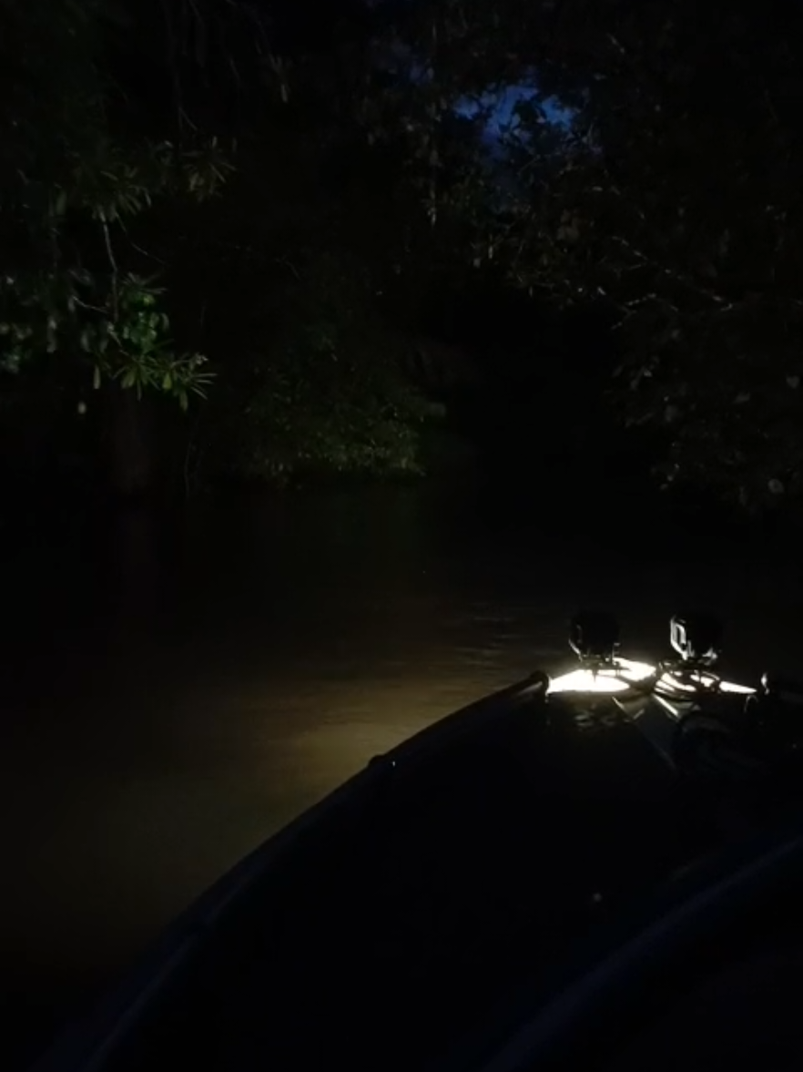 Jalan Malam #asmat #speedboat #hutan #fyp #fypシ゚ 