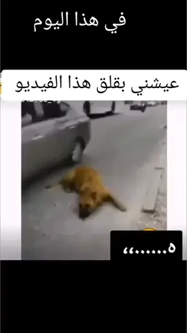 #في هذا اليوم من سنه فاتت الفيديو ده 😂❤️#اكسبلور #foryou 