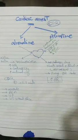 العوده 🫵🏻 #nurse #nursingstudent #تمريض #طب #دكتور #التمريض #الشعب_الصيني_ماله_حل😂😂 