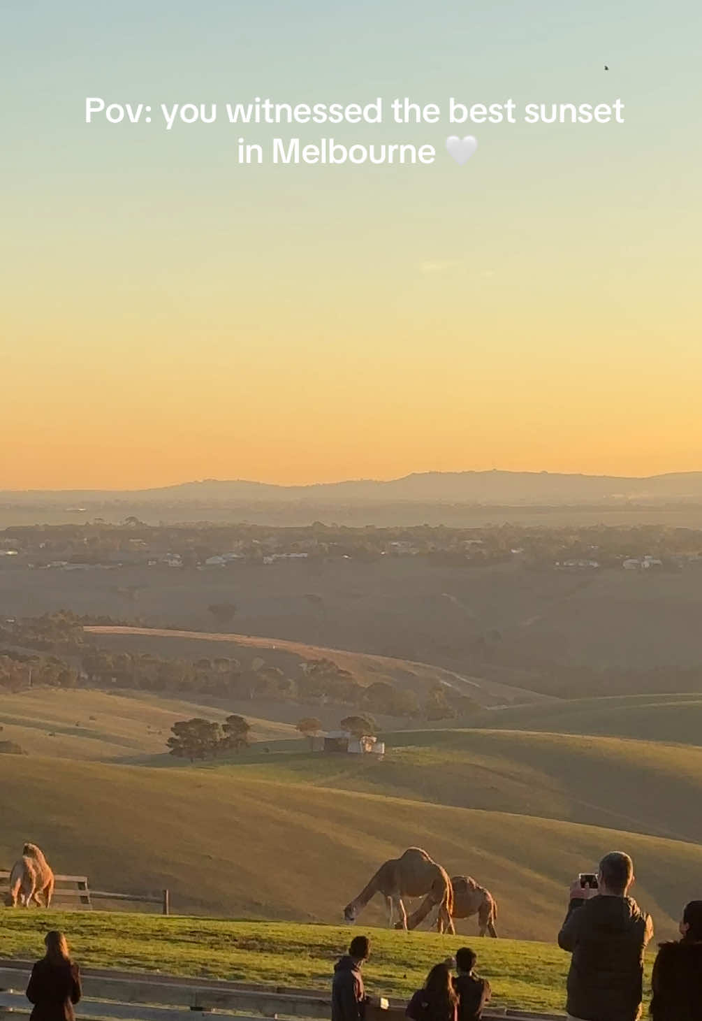 📍Marnong Estate, Mickleham   Dreamy winery Estate 🍷  . . . . . . . . . . #thingstodoinmelbourne #winery #melbournegetaway #melbourne #datenight #sunset #peaceful #weddingdestination #nature #fyp #australia #visitvictoria @Marnong Estate  