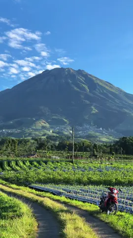 Inilah pemandangan alam yang akan kalian lihat jika berkunjung ke Magelang sesuai yang di harapkan🍃🍃🤩,jadi kapan kalian akan mengunjungi tempat2 se estetik ini..?#magelang24jam #explore #soundviral #pemandanganalam #wisatamagelang #alam #viralvideo #sukomakmurmagelang #gunungsumbing #gunungsumbing3371mdpl #pesonaindonesia #wisataalam 