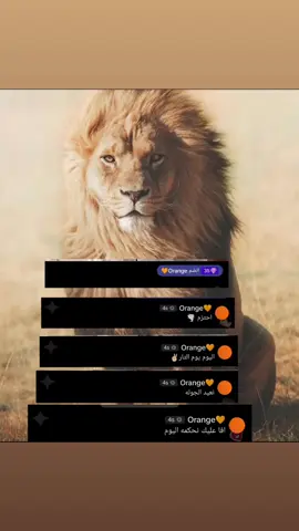 عم المجال كلو 😉🧡🧡#خالد #خالد_ال_زايد #CapCut 