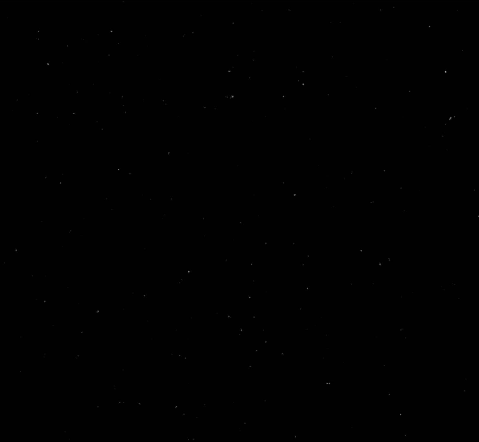 #STEFANI x #230 | моя любимая команда 🌹🌹 заранее извиняюсь, если есть какие то ошибки 🥺 | #fyp #fup #on #foryou #squidgame #124 #125 #256 #380 