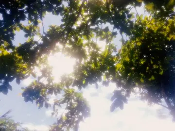 I appreciate each and one of you. It's never too late to change and become the best version of yourself. Your mistakes can be forgiven, your flaws will be hidden, as long as there is enough love and space in your heart to accept that you can still change. I pray for your healing, I pray all the good things will come your way. Take care dear friends🌱💚 #foryou #fyp #nature #nostalgia #naturecore #dreamy #peaceful #hopecore 