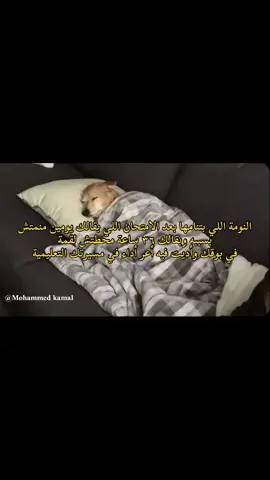 #صلي_علي_النبي #وحد_الله #mk1🇪🇬🇪🇬 #💀mk1💀 #foryoupage #foryou #fyp #funny #viraltiktok ##viralvideo #videoviral #fyppppppppppppppppppppppp #virall #vairal #explore #mems #video #explorepage #اكسبلور 