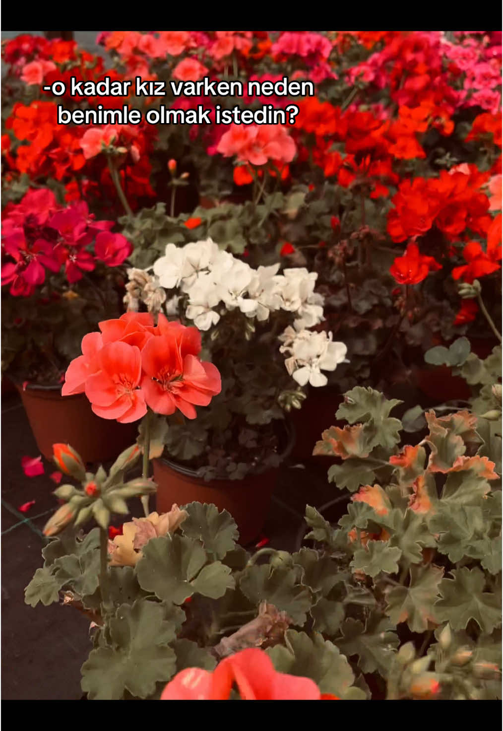 sen farklısın balıım @meva #fyp #akım #keşfet #keşfetbeniöneçıkar #aşk #sevgili 