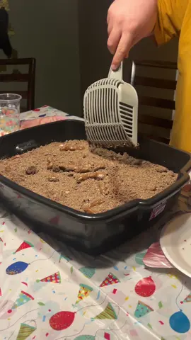 Pleaseee I’m crying 😭😭😭 #litterbox #litterboxcake #cake #happybirthday #cattheme #party 