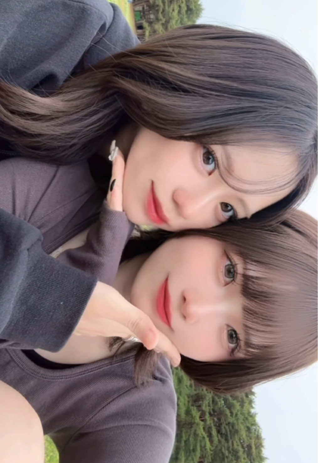 4年目の仲なんだヨン　@ひなたあめ  #ひたち海浜公園 #国営ひたち海浜公園 #gl #wlw #fyp 