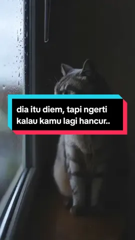 Nggak semua penyembuh datang bawa obat. Kadang dia datang bawa bulu, dan diam-diam duduk di sebelah kamu. — kucing itu bukan hewan peliharaan, dia keluarga. 🐾 #KucingNgertiRasa  #MeowTherapy  #HealingTanpaObat  #KucingBikinTenang  #KucingSetia  #CozyCatMood  #FYPkucing  #SadButSafe  #CatComfort  #FluffyVibesOnly  #emotionalmoment #fypindonesia #kucinglucu #mustwatch #catlover #fypシ゚ #fyp 