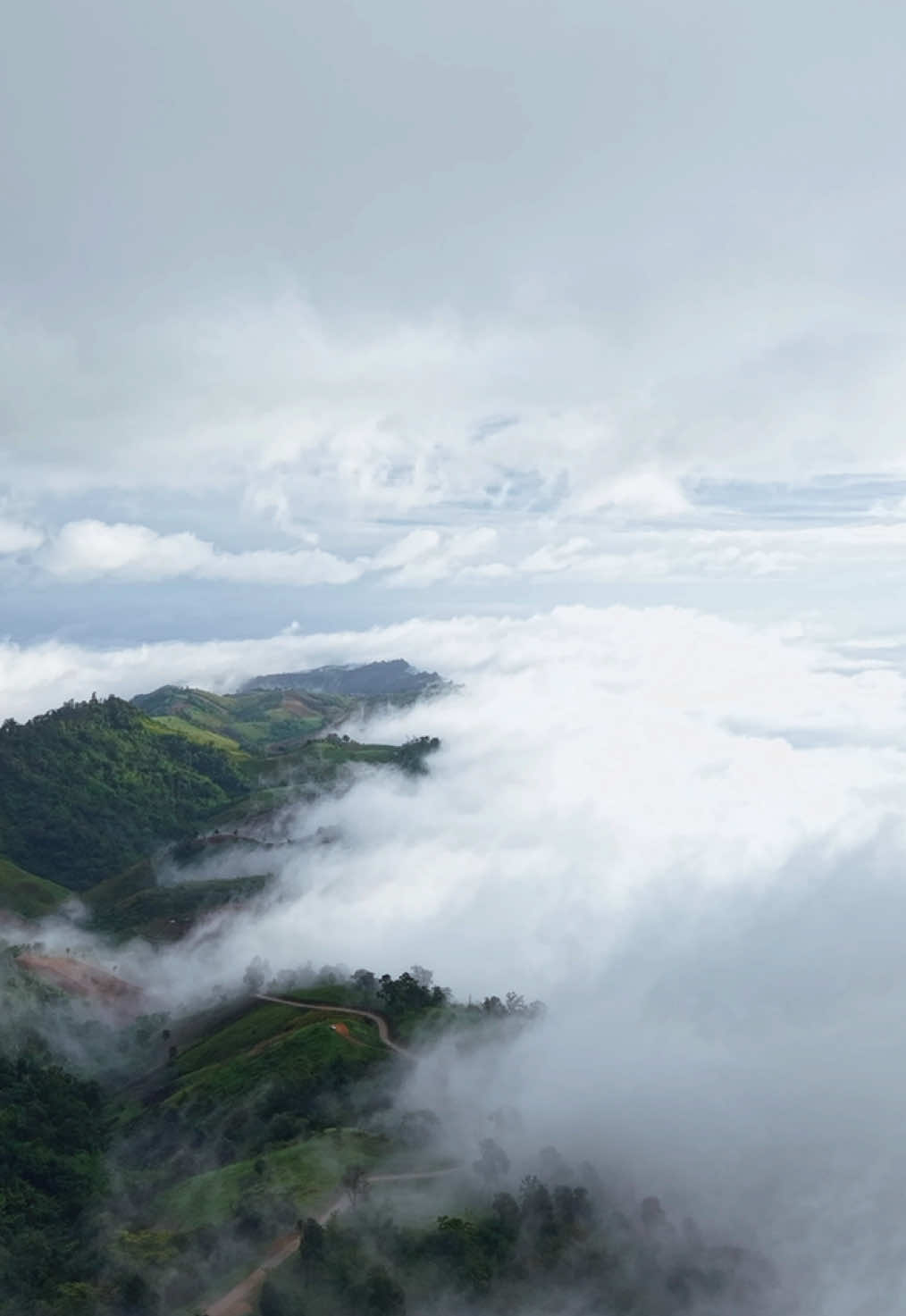 ถนนเส้น สันหลังมังกร นาสะอุ้ง-ภูทับเบิก   #นาสะอุ้ง #ภูทับเบิก #ทะเลหมอก #ที่เที่ยวภูทับเบิก 