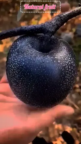 beautiful natural fruit #foryou #1millionviews #accountunprize #vivesproblem #fyp #billionlikes #millionvives 