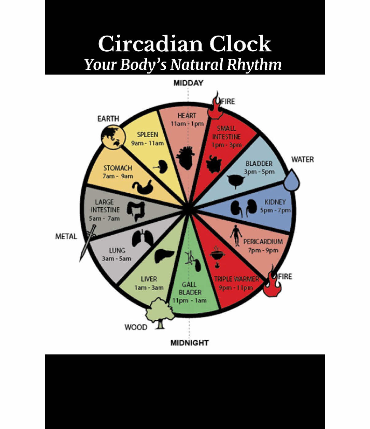 Did you know your body runs on a 24-hour internal clock called the circadian rhythm? This natural cycle influences your sleep-wake patterns, hormone levels, digestion, and even mood. When we align our lifestyle with this internal clock, we support optimal wellness, energy, and clarity. Here’s how to sync with your circadian rhythm for better health: 🕗 Wake with the sun – Morning light helps reset your clock and boost cortisol (your “get up and go” hormone). Open the blinds or step outside within 30 minutes of waking. 🍽️ Time your meals – Your digestion is most efficient earlier in the day. Try to eat your biggest meal at lunchtime and avoid late-night snacking. 💤 Stick to a sleep schedule – Go to bed and wake up at the same time each day, even on weekends. Consistency supports deeper, more restorative sleep. 💡 Dim the lights at night – Blue light from screens and bright bulbs can trick your brain into thinking it’s daytime. Wind down with soft lighting and screen-free time at least an hour before bed. 🧘‍♀️ Support your rhythm holistically – Gentle movement in the morning, mindfulness during midday, and calm practices at night can all help balance your circadian flow. Your body wants to heal and thrive.  #circadianrhythm #sleepwakecycle #sleephealth #motivation #lifecoach #goviral #healthcoach  @Coach M @TheCycologist78👽🎶 @TheCycologist78👽🎶-2.0 