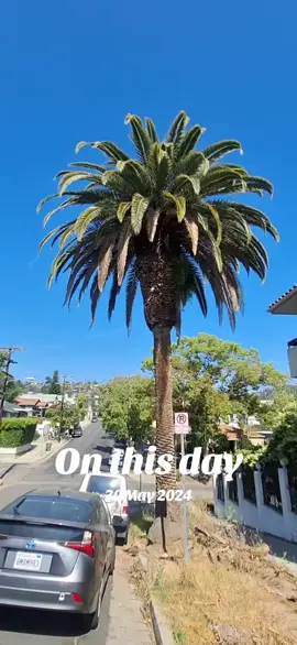 #onthisday Chachauu 😂