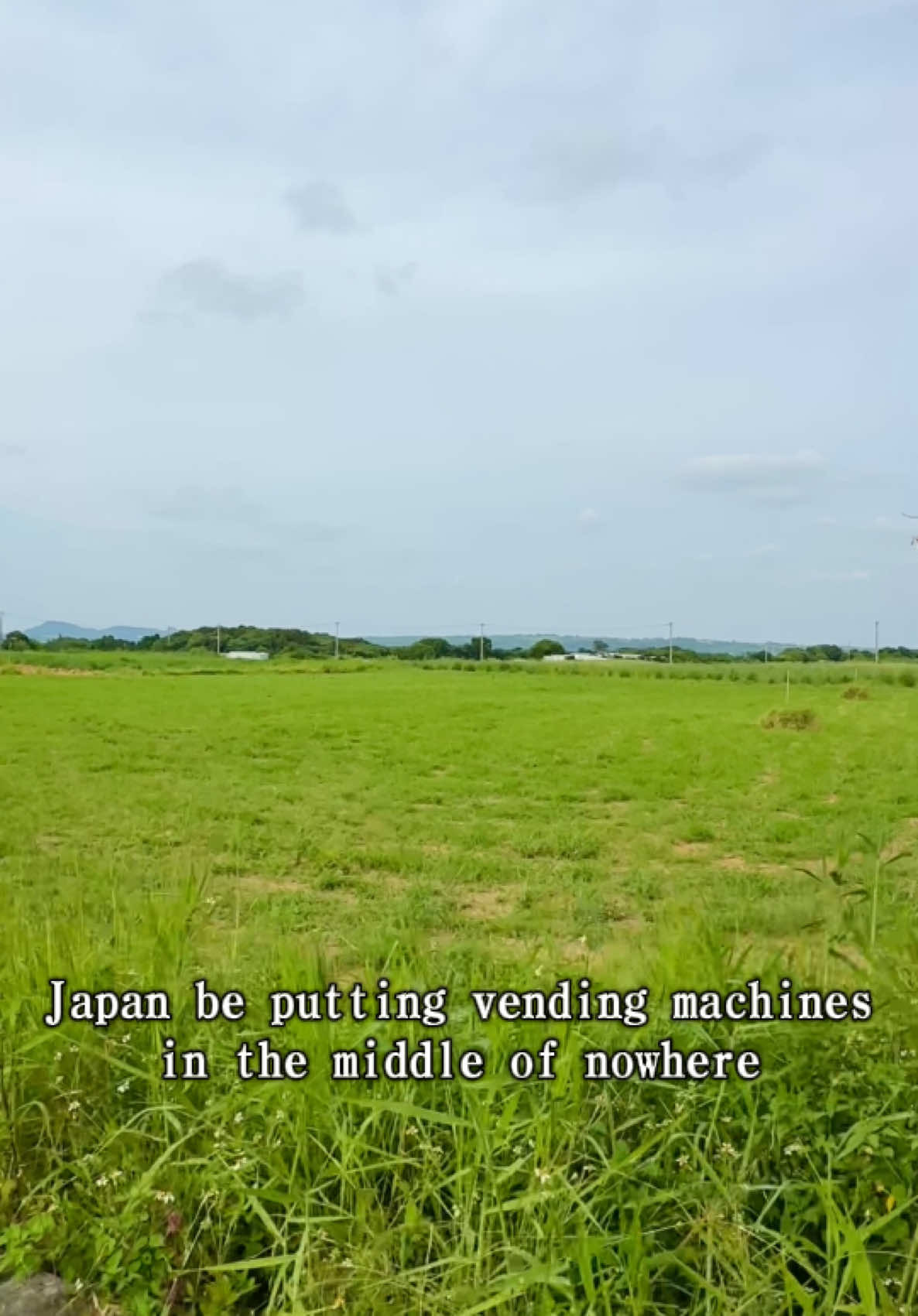 Vending machines #fyp #foryou #foryoupage #japan #tiktokjapanphilippines 