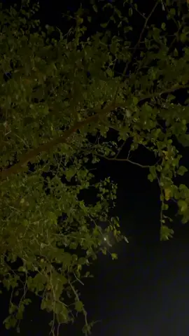 ياقمر غني حاجيها#قمر #اغاني #ياقمر 