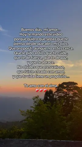 Buenos días mi amor ❤️‍🩹 te amo 🥹 #frasesbonitas #dedicar #teamo #amorsano #frasesdeamor #pareja #amoradistancia  #creatorsearchinsights 