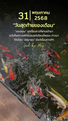 ขอให้ “มิถุนายน” มีแต่เรื่องราวดีๆ #CapCut #ชีวิตต้องสู้ #ความหวัง 