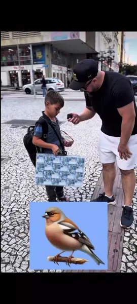 #williandabondade #williandabondadereal #paratibrasil🇧🇷 #fouryoupage #brazil🇧🇷 #brazil #fyp #bondadededeusage #fypbrazil🇧🇷🇧🇷🇧🇷