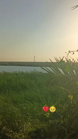 #موالات_حزينة_عراقية💔 #متابعه_ولايك_واكسبلور_احبكم 