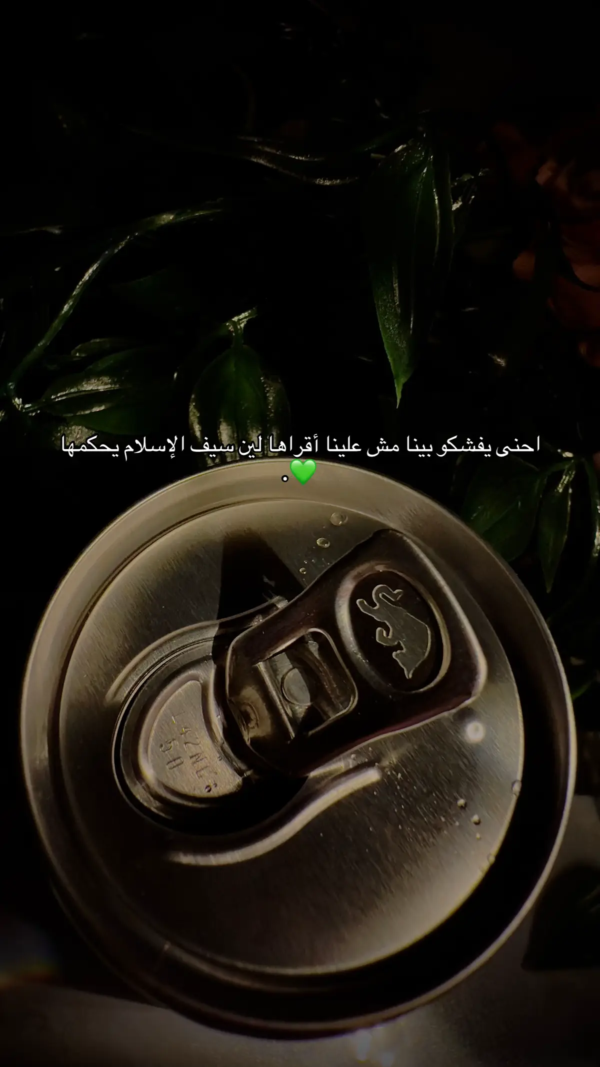 #fffffffffffyyyyyyyyyyyppppppppppp #fyp #ليبيا_طرابلس_مصر_تونس_المغرب_الخليج #ليبيا_طرابلس🇱🇾🇱🇾🇱🇾 #القدافي🦅🦅💚💚 #fffffffffffyyyyyyyyyyypppppppppppp #fffffffffffyyyyyyyyyyypppppppppppp #ليبيا 