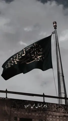 ♡♡ #عيد_الغدير #الامام_علي #النجف 