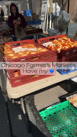 I get so excited when it’s farmers market season in Chicago. It has just become part of my Saturday routine to wake up and go to the West Loop @Green City Market . The vendors are so kind and everything I’ve ever gotten from this market has been incredible. I also love to support local farms and businesses. Fresh produce, baked goods, jams, meat, dairy… everything you could ever want is here!  #chicagotiktok #chicagoinfluencer #farmersmarket #farmersmarkethaul #supportlocal #freshproduce 