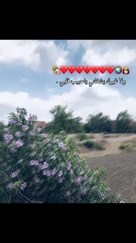 فولو ولايك ❤️🏡f حياتي❤️ #pov #حب #رومانسي #
