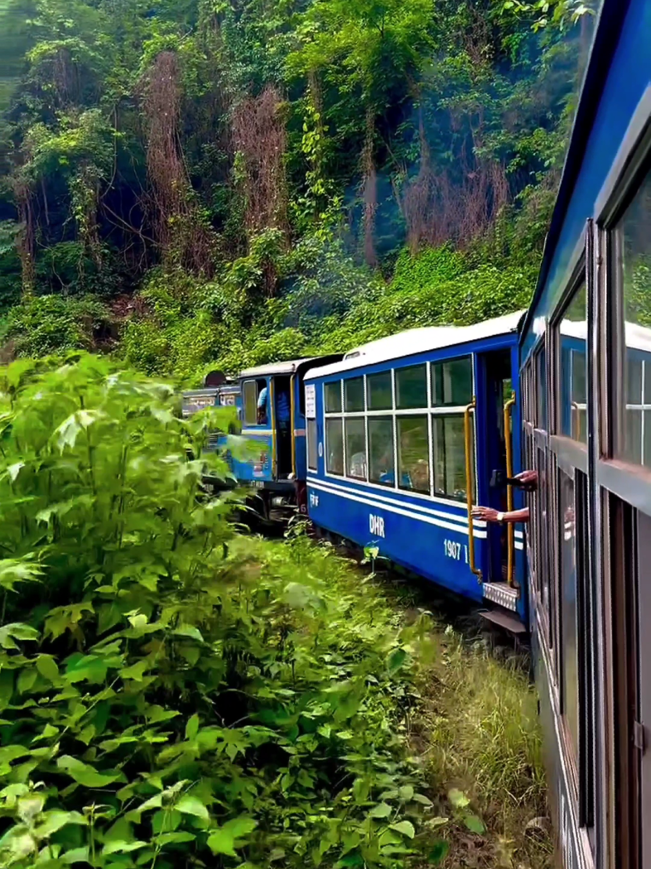 বৃষ্টিতে টয় ট্রেনের দার্জিলিং ! #DarjeelingToyTrain #ToyTrainDarjeeling #IndiaTravel #HeritageTrain #MountainRailway #ToyTrainJourney #TravelVlog #IncredibleIndia Toy Train Darjeeling  UNESCO Heritage Ride Through the Himalayas Darjeeling Himalayan Railway Magical Toy Train Journey Toy Train Ride in Darjeeling Scenic Mountain Railway Experience Inside the Famous Darjeeling Toy Train  Batasia Loop to Ghum Station Darjeeling Toy Train Full Journey  Stunning Views & Steam Engine Ride Exploring the Toy Train Darjeeling  Iconic Heritage Train Ride Darjeeling Toy Train Travel Vlog Must-Do Experience in India Unforgettable Ride on the Darjeeling Himalayan Railway Toy Train Adventure Toy Train India Darjeeling Himalayan Railway Scenic Route Darjeeling Toy Train Experience A Journey Through the Clouds Experience the magic of the Darjeeling Himalayan Railway, fondly known as the Toy Train of Darjeeling — a UNESCO World Heritage Site and one of the most iconic mountain railways in the world. Journey through the misty hills, lush tea gardens, and charming colonial towns as this historic steam engine chugs along narrow gauge tracks with breathtaking views of the Himalayas. From the legendary Batasia Loop to the scenic ride between Darjeeling and Ghum, this video captures the essence of the vintage charm and timeless beauty of the Toy Train experience. Whether you're planning your next trip or simply fascinated by historic railways, this cinematic ride will take you straight into the heart of Darjeeling tourism. Don’t forget to like, comment, and subscribe for more amazing travel stories from the hills of India! Toy Train Darjeeling, Darjeeling Himalayan Railway, Darjeeling Toy Train ride, Toy Train journey, Darjeeling train travel, Batasia Loop, Ghum station Darjeeling, Darjeeling tourism, Heritage train ride, Mountain railway India, Toy Train experience, Toy Train India, UNESCO World Heritage Darjeeling, Steam engine Darjeeling, Narrow gauge railway, Darjeeling sightseeing, Famous trains in India, Darjeeling railway journey, Himalayan railway ride, Darjeeling travel vlog #DarjeelingToyTrain #ToyTrainDarjeeling #DarjeelingHimalayanRailway #UNESCOWorldHeritage #ToyTrainRide #DarjeelingTravel #GhumStation #BatasiaLoop #DarjeelingTourism #IndiaTravel #HeritageTrain #MountainRailway #ToyTrainJourney #TravelVlog #IncredibleIndia