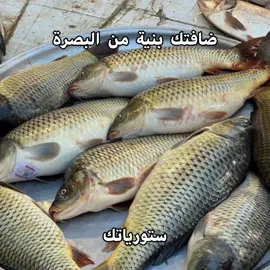 #fyp #foryou #العراق #الشعب_الصيني_ماله_حل😂😂 #البصرة 