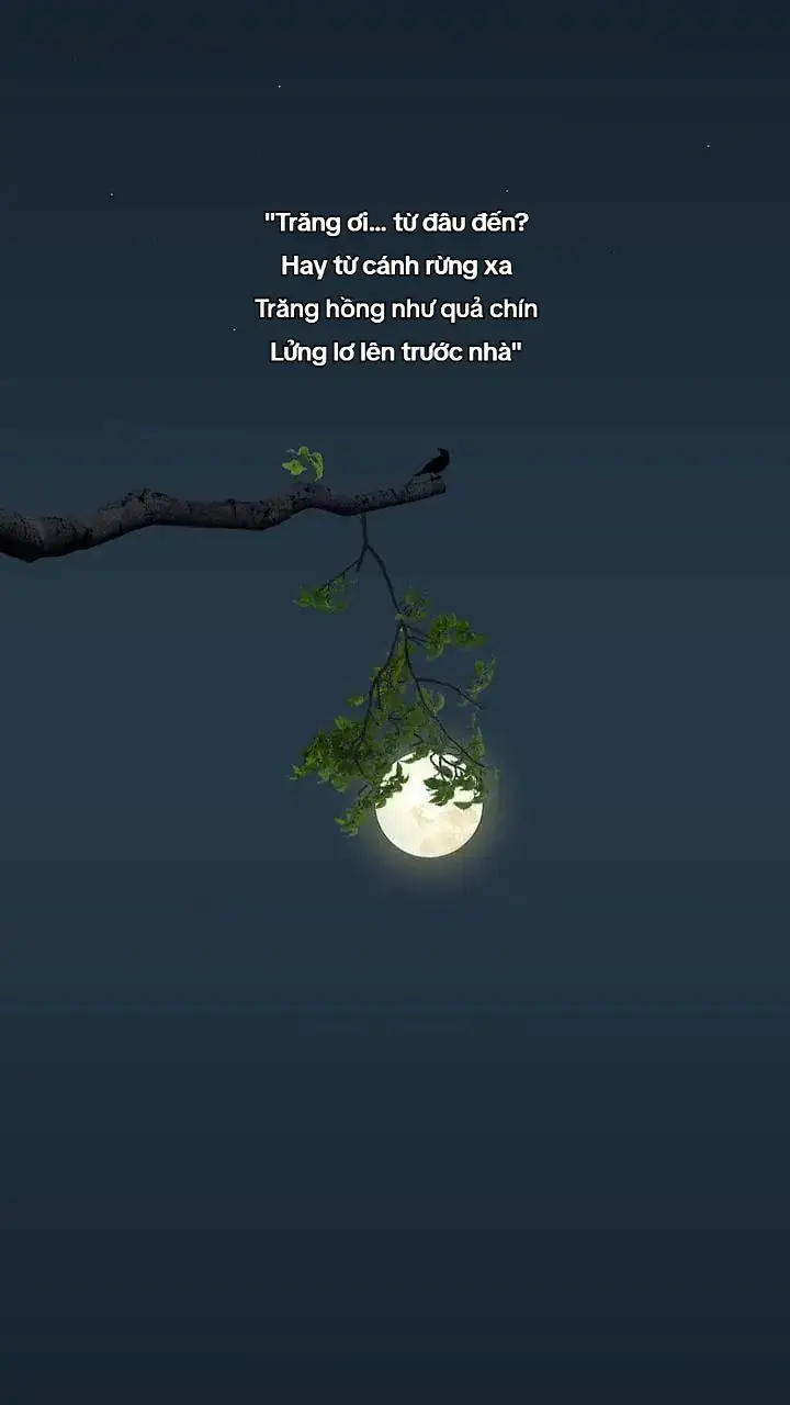 #xuhuong #trang #moon #trandangkhoa #tiengviet #fyp #viral #foryou 