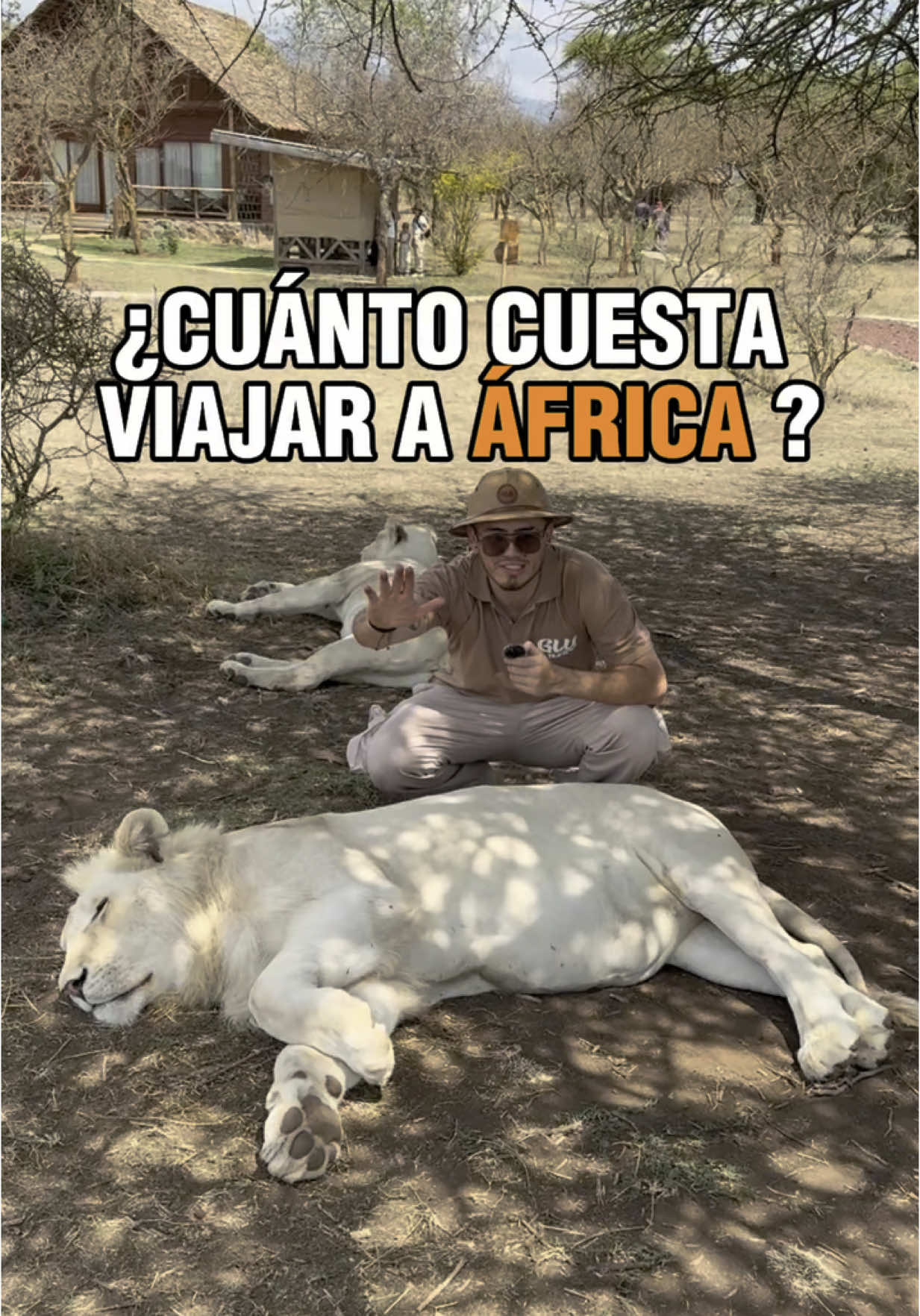🌍 Una aventura inolvidable en Tanzania y Zanzíbar 🌴 ¿Sabías que un safari o una escapada al paraíso puede costar miles de euros? ¡Con nosotros, no te preocupas por nada! Tienes incluido traslados, entradas a parques, guías, hospedaje y alimentación. ¡Prepárate para vivir una aventura inolvidable!  ✈️ Parte 1: Bogotá a Estambul ✈️ Tu viaje comienza volando desde Bogotá, Colombia, hacia Estambul por solo 1030USD. Una parada estratégica para luego volar directo al corazón de África. 🦁 Safari en Tanzania: un espectáculo salvaje 🦁 Este 2025 es el año perfecto para ver a los 