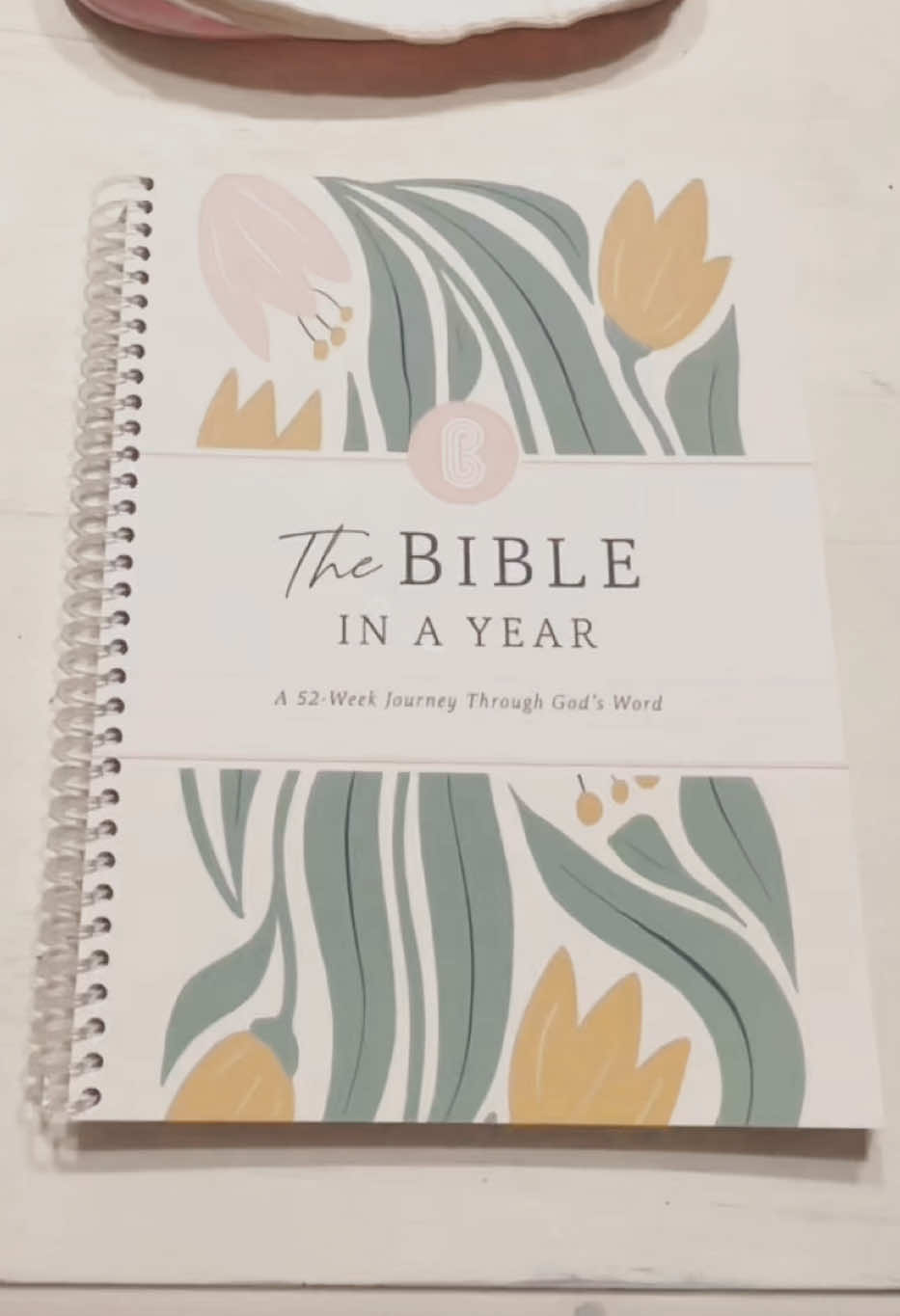 All of the other 52 week journals go in order which can make me get disengaged I love that this one pulls from different books to stay on topic AND I still get the benefit of reading the Bible in a year #fyp #foryou #bible #biblestudy #bibleverse #bibleversedaily  #TikTokShop #52weekbiblestudy #bibleinayear #bibleinspiration #faith #faithtok #bibletok#CapCut 