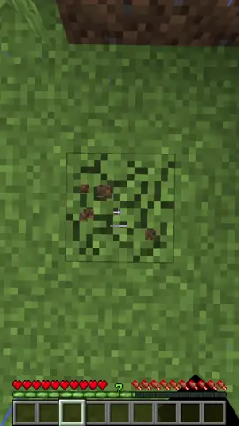 The Best Way to get Rich on Donut SMP