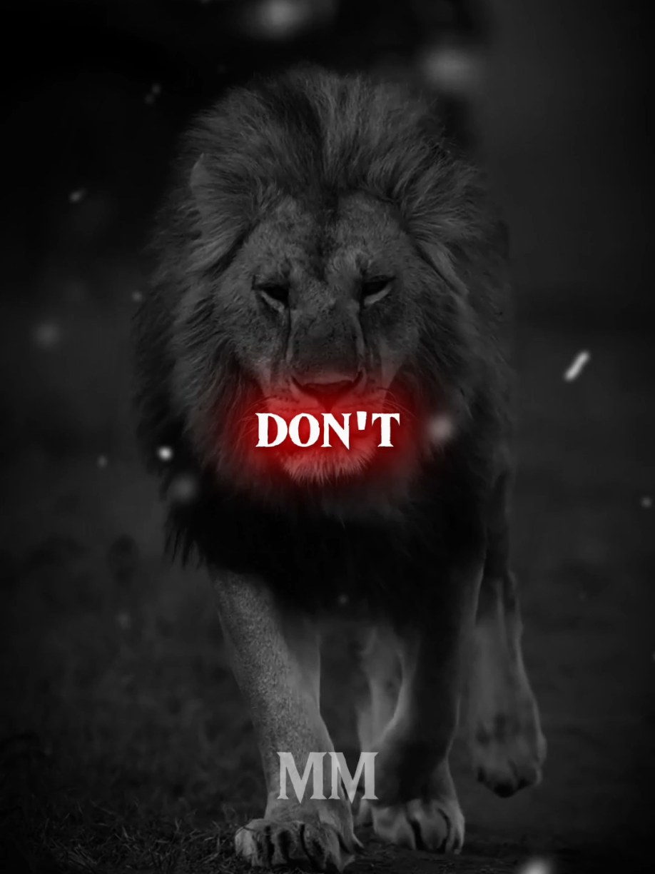 I don't waste my time... . #motivation #usa #usa_tiktok #unfreezemyaccount #listentothiseveryday #growbeyoundyourlimits #yourblessingiscoming #quotesoftheday #fyp #motivationalquotes #inspirationalquotes #motivationalspeeches #bravemind #stoicism #mindset #quotes #inspiration #peakmotivation 